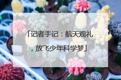 记者手记：航天观礼，放飞少年科学梦