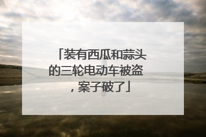 装有西瓜和蒜头的三轮电动车被盗，案子破了