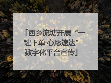 西乡流塘开展“一键下单·心愿速达”数字化平台宣传