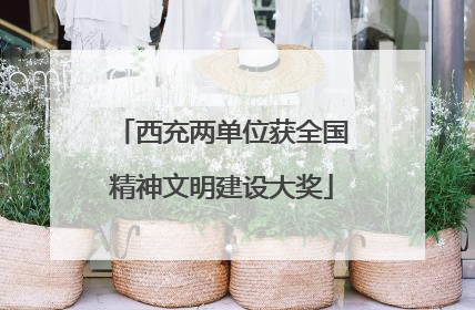 西充两单位获全国精神文明建设大奖