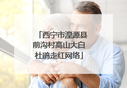 西宁市湟源县前沟村高山大白杜鹃走红网络