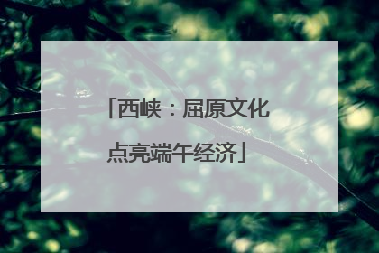 西峡：屈原文化点亮端午经济