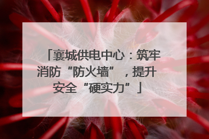 襄城供电中心：筑牢消防“防火墙”，提升安全“硬实力”