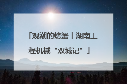 观潮的螃蟹丨湖南工程机械“双城记”