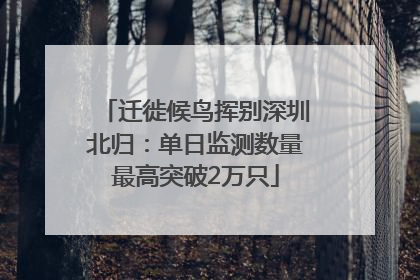 迁徙候鸟挥别深圳北归：单日监测数量最高突破2万只