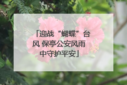 迎战“蝴蝶”台风 保亭公安风雨中守护平安