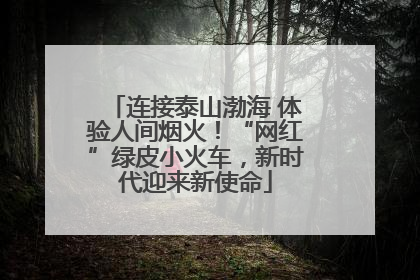 连接泰山渤海 体验人间烟火！“网红”绿皮小火车，新时代迎来新使命