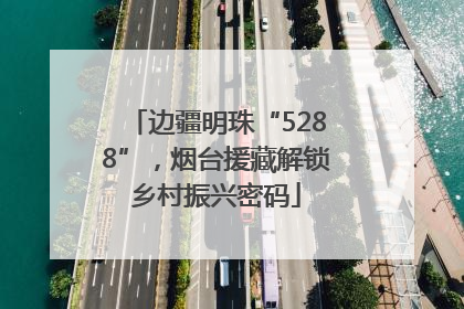 边疆明珠“5288”，烟台援藏解锁乡村振兴密码