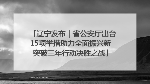 辽宁发布｜省公安厅出台15项举措助力全面振兴新突破三年行动决胜之战