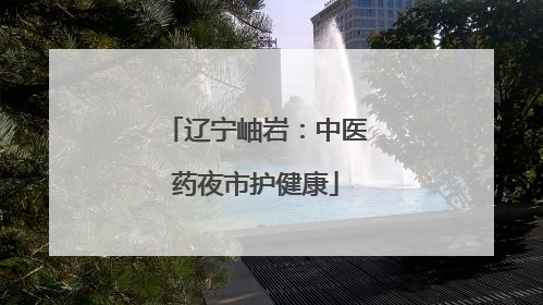 辽宁岫岩：中医药夜市护健康