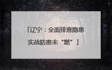 辽宁：全面排查隐患 实战防患未“燃”
