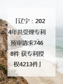 辽宁：2024年共受理专利预审请求7468件 获专利授权4213件