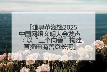 谦寻董海锋2025中国网络文明大会发声：以“三个向善”构建直播电商善意长河