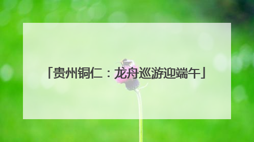 贵州铜仁：龙舟巡游迎端午