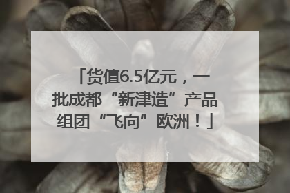 货值6.5亿元，一批成都“新津造”产品组团“飞向”欧洲！