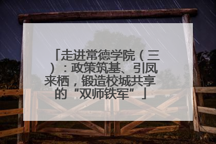 走进常德学院（三）：政策筑基、引凤来栖，锻造校城共享的“双师铁军”