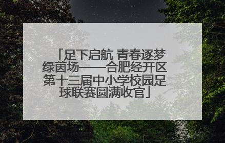 足下启航 青春逐梦绿茵场——合肥经开区第十三届中小学校园足球联赛圆满收官
