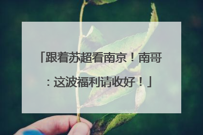 跟着苏超看南京！南哥：这波福利请收好！