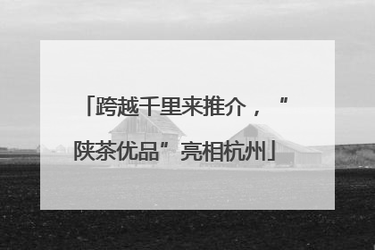 跨越千里来推介，“陕茶优品”亮相杭州