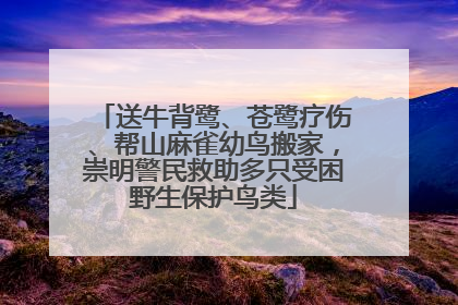送牛背鹭、苍鹭疗伤、帮山麻雀幼鸟搬家，崇明警民救助多只受困野生保护鸟类
