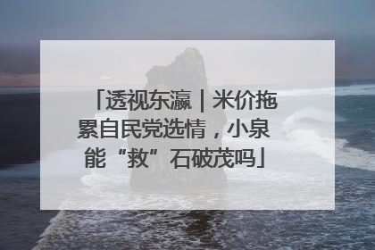 透视东瀛｜米价拖累自民党选情，小泉能“救”石破茂吗