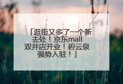 逛街又多了一个新去处！京东mall双井店开业！碧云泉强势入驻！