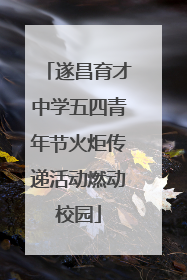 遂昌育才中学五四青年节火炬传递活动燃动校园
