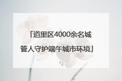 道里区4000余名城管人守护端午城市环境