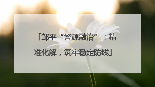 邹平“警源融治”：精准化解，筑牢稳定防线