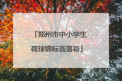 郑州市中小学生荷球锦标赛落幕