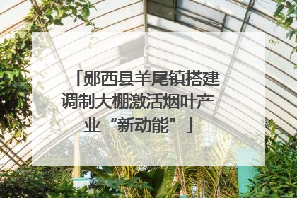 郧西县羊尾镇搭建调制大棚激活烟叶产业“新动能”