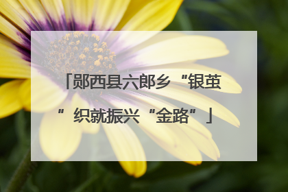 郧西县六郎乡“银茧”织就振兴“金路”