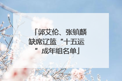 郭艾伦、张镇麟缺席辽篮“十五运”成年组名单