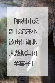 鄂州市委副书记汪小波出任湖北大数据集团董事长
