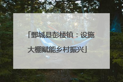 鄄城县彭楼镇：设施大棚赋能乡村振兴