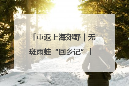 重返上海郊野｜无斑雨蛙“回乡记”
