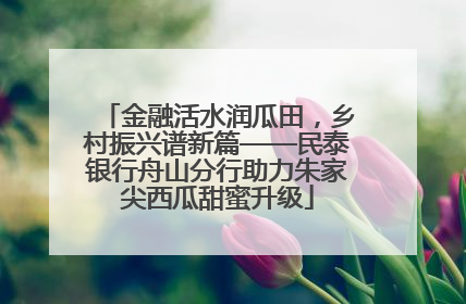 金融活水润瓜田，乡村振兴谱新篇——民泰银行舟山分行助力朱家尖西瓜甜蜜升级