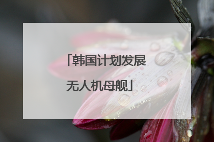 韩国计划发展无人机母舰