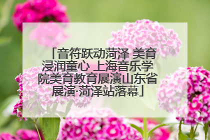 音符跃动菏泽 美育浸润童心 上海音乐学院美育教育展演山东省展演·菏泽站落幕