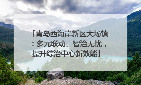 青岛西海岸新区大场镇：多元联动、智治无忧，提升综治中心新效能