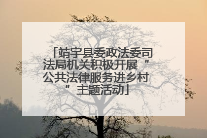 靖宇县委政法委司法局机关积极开展“公共法律服务进乡村”主题活动