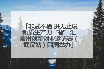 非武不栖 进无止境 新质生产力“智”汇常州创新创业邀请赛（武汉站）圆满举办