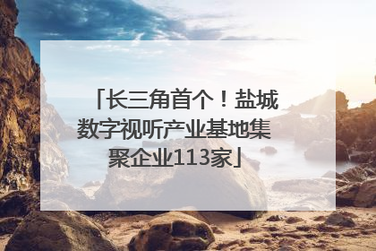 长三角首个！盐城数字视听产业基地集聚企业113家