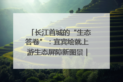 长江首城的“生态答卷”：宜宾绘就上游生态屏障新图景｜中华环保世纪行