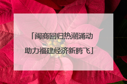 闽商回归热潮涌动 助力福建经济新腾飞