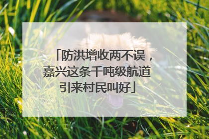 防洪增收两不误，嘉兴这条千吨级航道引来村民叫好