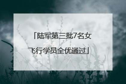 陆军第三批7名女飞行学员全优通过