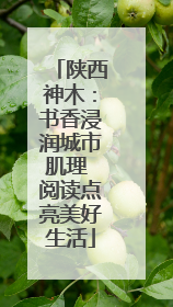 陕西神木：书香浸润城市肌理 阅读点亮美好生活