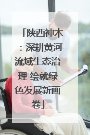 陕西神木：深耕黄河流域生态治理 绘就绿色发展新画卷