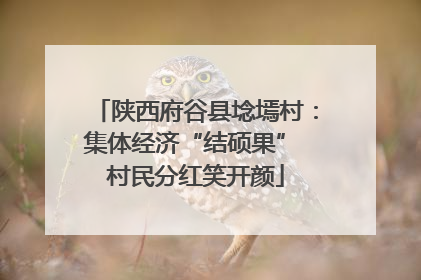 陕西府谷县埝墕村：集体经济“结硕果” 村民分红笑开颜